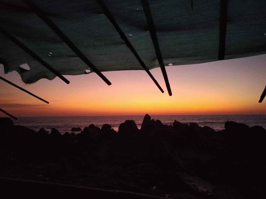 21coconuts inn Arambol Esterno foto